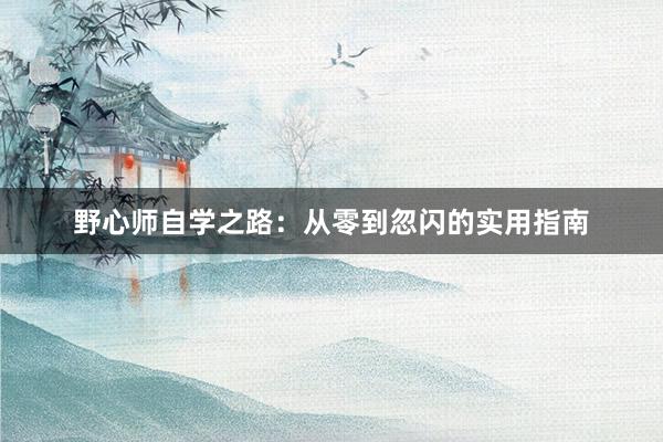 野心师自学之路：从零到忽闪的实用指南