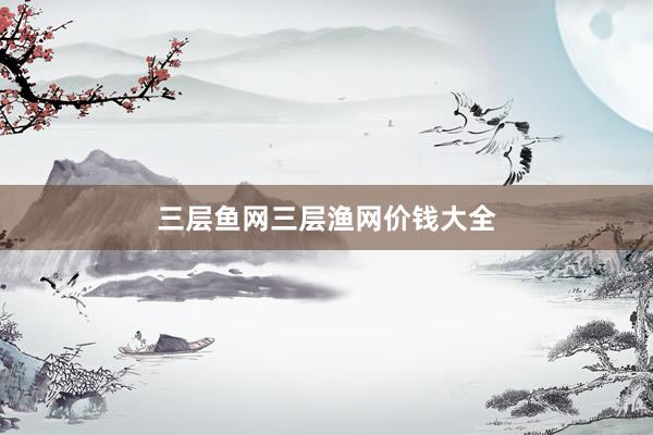 三层鱼网三层渔网价钱大全